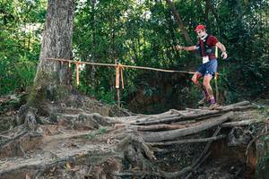 BIB: 
                            <button type="button" onclick="openModal(27752311)" class="btn btn-primary btn-sm float-right btn-popup" data-toggle="modal" data-target=".modal-high-quality">
                        <i class="fas fa-shopping-cart"></i> Add to Cart
                    </button>
                                            <button type="button" onclick="isThisMe(27752311, true)" class="btn btn-success btn-sm float-right btn-popup btn-isme hidden" data-toggle="tooltip" data-placement="bottom" title="นี่คือรูปของคุณใช่ไหม คลิกที่นี่เพื่อเอาเข้าอัลบั้ม">
                        <i class="fas fa-plus"></i> Add to album
                    </button>
                    <button type="button" onclick="isThisMe(27752311, false)" class="btn btn-warning btn-sm float-right btn-popup btn-isnotme hidden">
                        <i class="fas fa-ban"></i> Remove from album
                    </button>